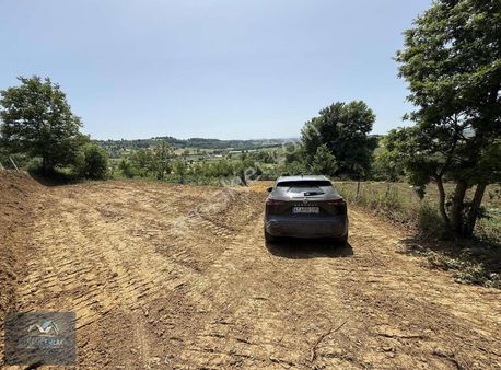 Şile Ağva İzmit Güzergahında Resmi Yolu Var İmar Sınırında