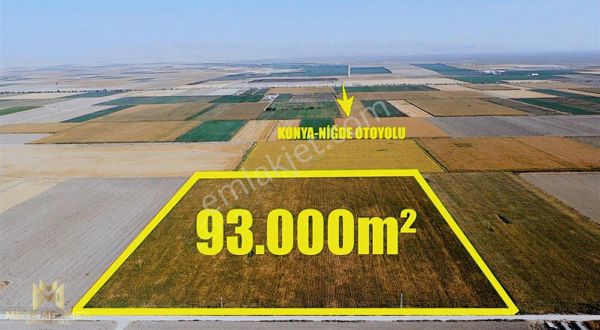İsmilde 93.000 M2 Elektrik Suyu Olan Harika Tarla