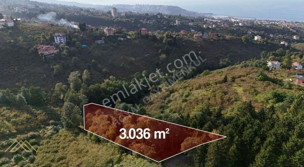 Çilekli Mah. 3.036 M² Satılık Arsa