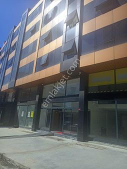 İstanbul/ Levent 0 + 1 Stüdyo Daire