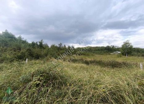 Delta Gayrimenkul'den Pirazizde Deniz Manzarlı Arsa..