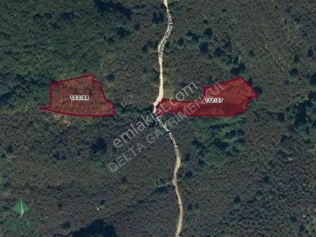 Delta Gayrimenkul'den Keşap Saraycık Köyünde Fındık Bahçesi..