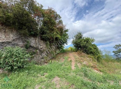 Delta Gayrimenkul'den Ordu Perşembe De Denize Sıfır Arsa...