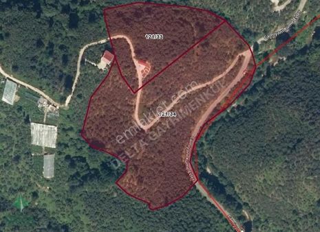 Delta Gayrimenkul'den Boztekke Köyünde Fındıkbahçesi..