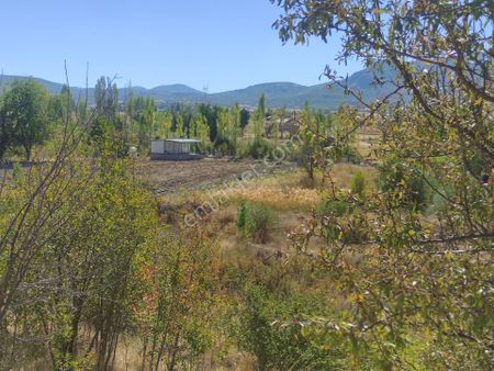 Konya Seydişehir Tol Satılık Sulu Tarla 4400 M2 Anayola 1 Km.