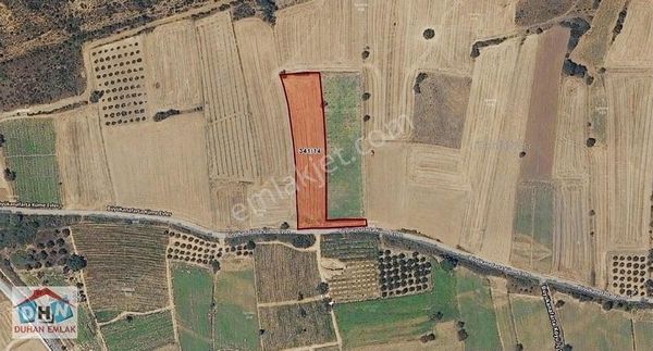 Duhan Emlaktan Eceabat Büyükanafartada Yola Cephe Satılık Tarla