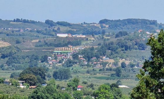 Realty Worlddan Kaynarca Cebekte 2787m2 Manzaralı Fındık Bahçesi