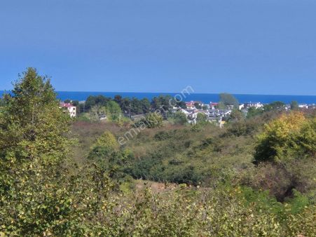 Realty Worlddan Kocaali Ağalarda 218m2 Arsa %25 3 Kat Yatırımlık