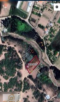 Botsa Güneydere Satılık Hesaplı Bahçe