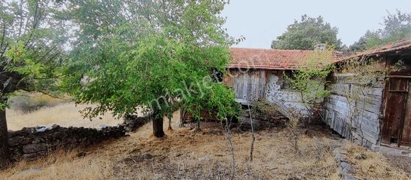 6650 M2 Ev Dam Bahçe Ve Tarlasıyla Muazzam Konumda