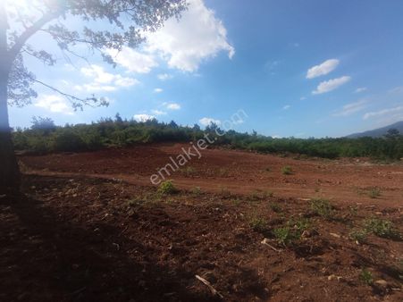 Bursa Yenişehir Marmaracık 230 M2