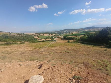 Bursa Yenişehir Marmaracık Selimiye De Satılık Hobi Bahçeleri