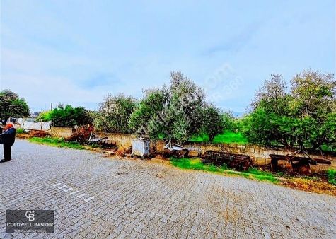 Aydın Sultanhisar Beşeylül Mah. 3 Kat İmarlı Satılık Arsa