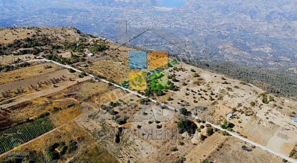 Aydın Nazilli Yaylapınar Mahallesinde Satılık 2567 M² Bahçe