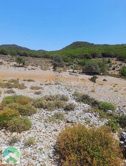 Viga Emlak'tan Gökçeyazı Satılık Tarla