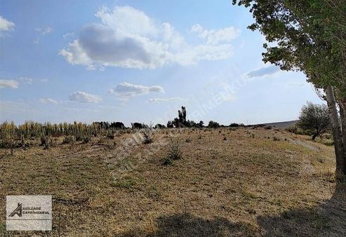 Sulusarayda 5070 Metrekare Bağ Evi Ruhsatına Uygun Fırsat Bağ