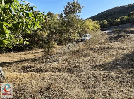 Gölet Yanı Resmi Yollu 4.415 M2 Tarla Çavuşköy