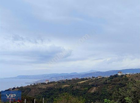 Akçaabatta Full Deniz Manzaları Satılık Arsa