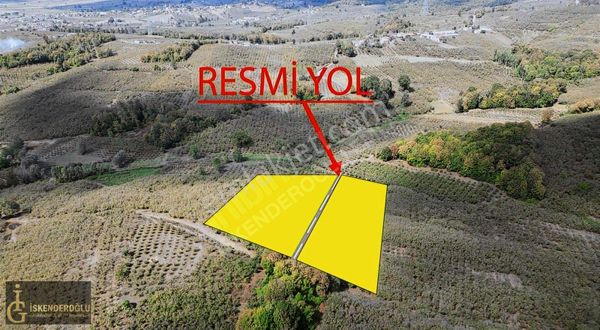 Satılık Verimli Fındık Bahçesi