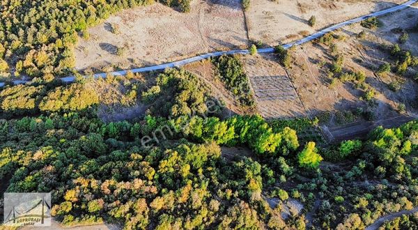 Köprübaşı Emlak'tan Fulacak'ta 5858m2 Arazi