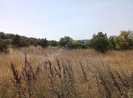 Mudanya Mirzaoba Da Satılık Hobi Bahçesi