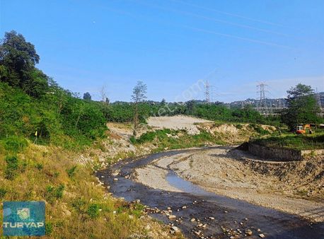 Ordu Merkeze Çok Yakın Uzunisada 1808 M2.satılık Fındık Bahçesi.