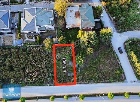 Ordu Akyazı Plaj Mevkı'nde Satılık Emsalsiz Villa Arsası