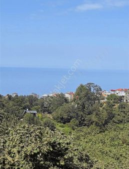 Detay'dan Yalıncak'ta Denizin Ve Doğanın İçerisinde Fırsat Arsa