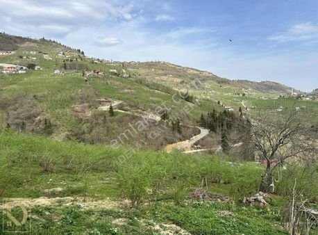 Yeşilyurtta Satılık Fırsat Arsa