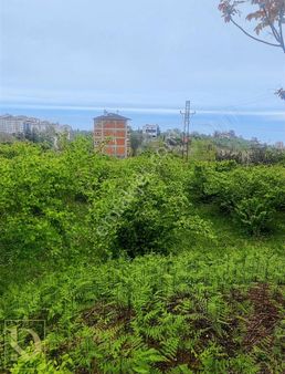 Detay'dan Yatırımın Yeni Adresi: Çimenli'de Deniz Manzaralı Arsa