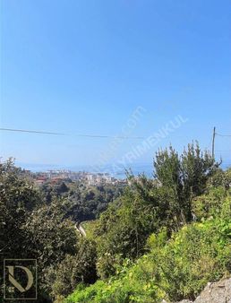 Arsin Yeşilyalı Mahallesinde Acil Satılık Arsa