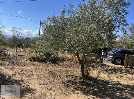 Kocaalide Asfalta Ceğhe 1,300 M2 İmarlı Alt Yapısı Hazır Arsa