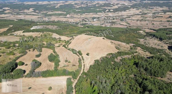Satılık Tek Tapu 52 Dönüm Resmi Kadastro Yolu Cephe Arazi