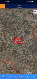 Tepeoba Mah 3.463. M2 Satılık Zeytinlik