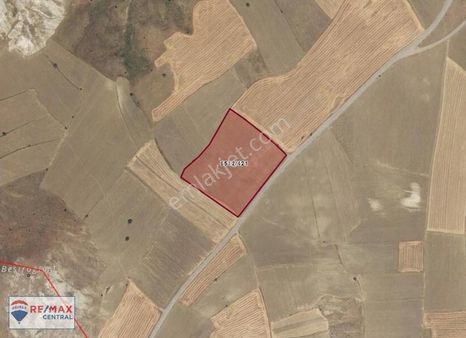 Remax Central'dan Esenyurt'da 7850 M2 Yatırım Fırsatı Tarla