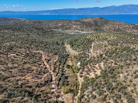 Balıkesir Burhaniye Pelitköy De Satılık Bahçe