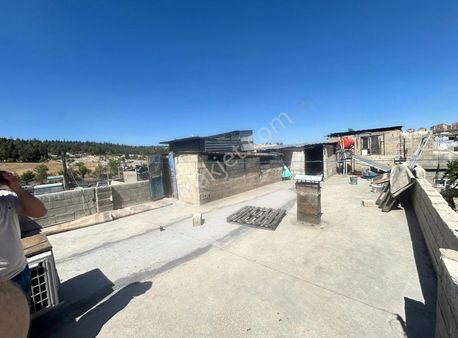 Evin Group'dan 3 Katlı Müstakil Ev