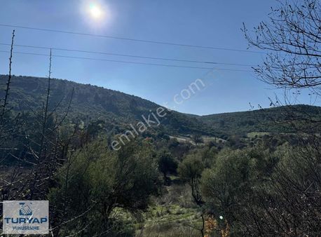 Manisa Cbü Kampüse 5km Mesafede Yola Sıfır 4500m2 Bahçe