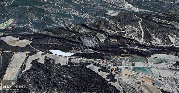 Sarayköy Yeşilyurt Da Kazançlı Yatırım İçin Zeytinlik