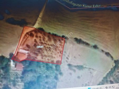 Merzifon Klass Emlaktan Satılık Bağ Evi