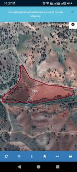 Zeynep Usaginda Satılık Tarla