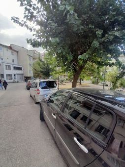 Bengisu Gayrimenkul Den Satılık Daıre Ye