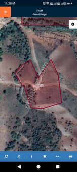 Zeynep Usaginda Satılık Tarla