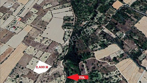 Subaşında Satılık 2400 M2 Yolu Mevcut Satılık Bağ