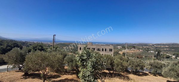 Ağaçli Deniz Manzaralı İmar Kapsamında Zeytinlik