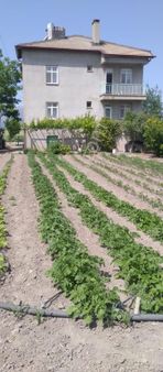 Konya Seydişehir Boyalı Mah. İki Katlı Ev Müstakil 756 M İçinde