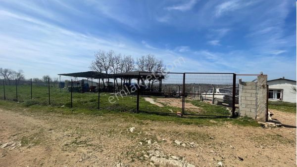 Kırklareli Yündalan Köyünde Hazır Kurulu Ruhsatlı 18 Dönüm Satılık Çiftlik