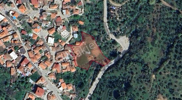 Kardeşten Dereli'de Harika Konumda %40 İmarlı 2558 M² Kupon Arsa