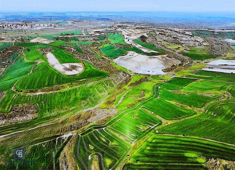 Yassıören'de Plan İçinde Satılık Arsa