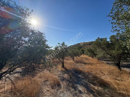 Kuzey Emlaktan Yırca 3.260 M² Yatırımlık Tarla – Merkeze 4 Km, Köye 762 M !!